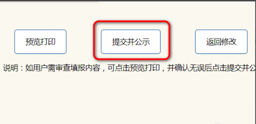 递交并公示公告 递交并公示公告