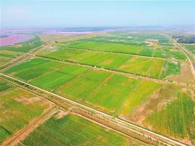 详细介绍中外合作商贸公司的申请注册全过程