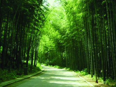 【公司注册】申请注册美企的益处和益处