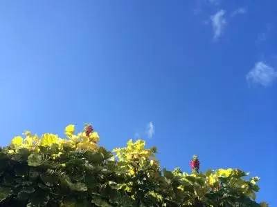 【石家庄公司申请注册地址变更】自由贸易区企业地址变更实际步骤